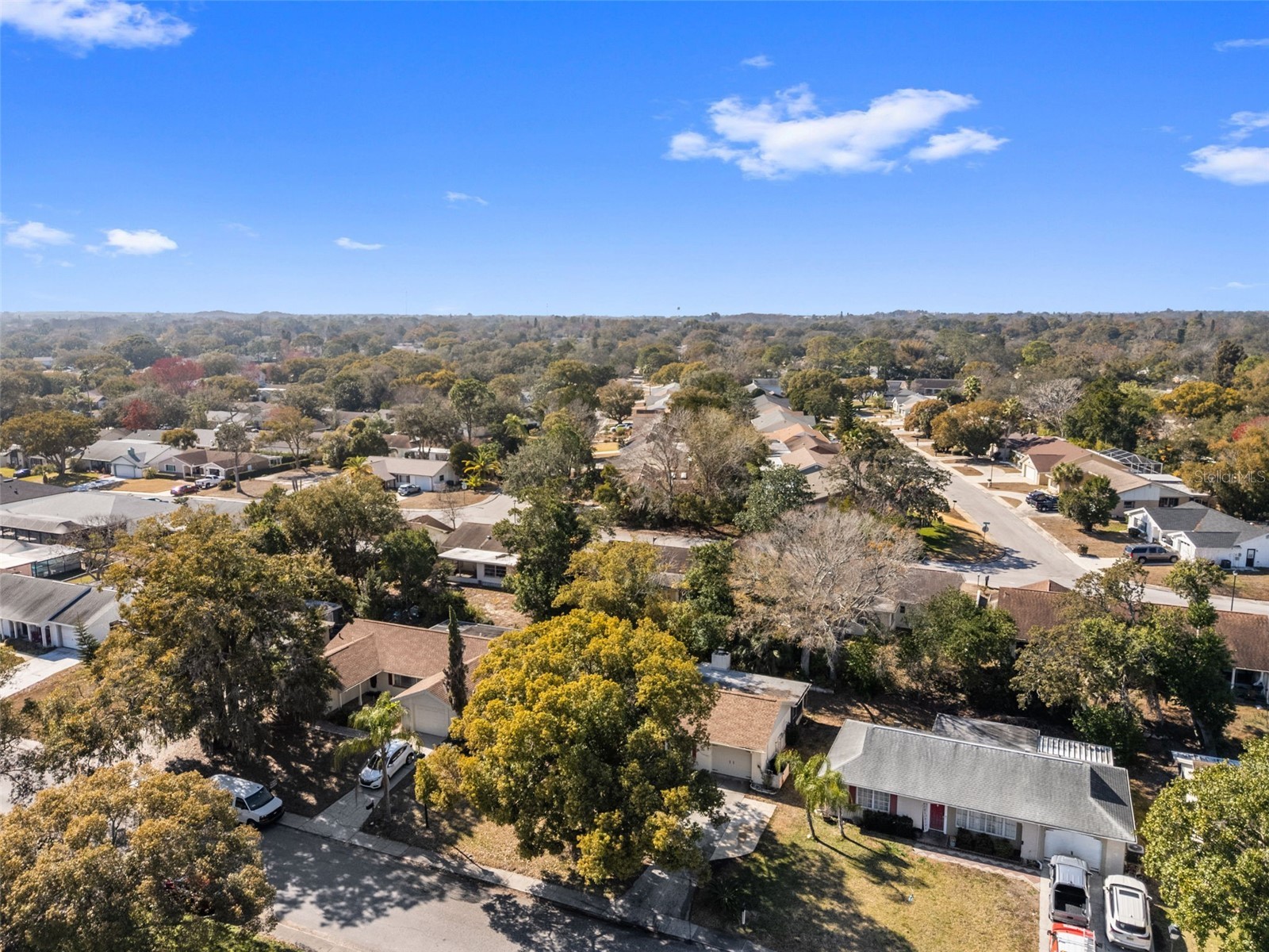 12501 Stagecoach Lane Hudson FL 34667 W7883064 image49