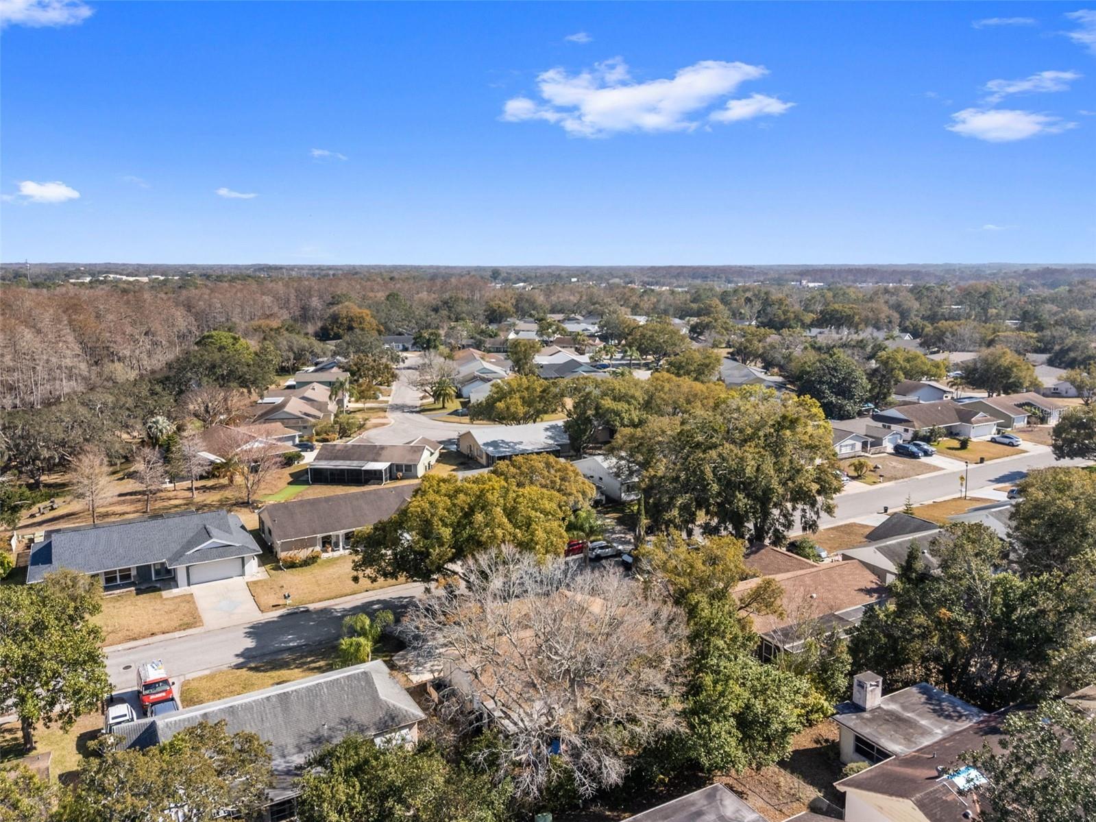 12501 Stagecoach Lane Hudson FL 34667 W7883064 image51