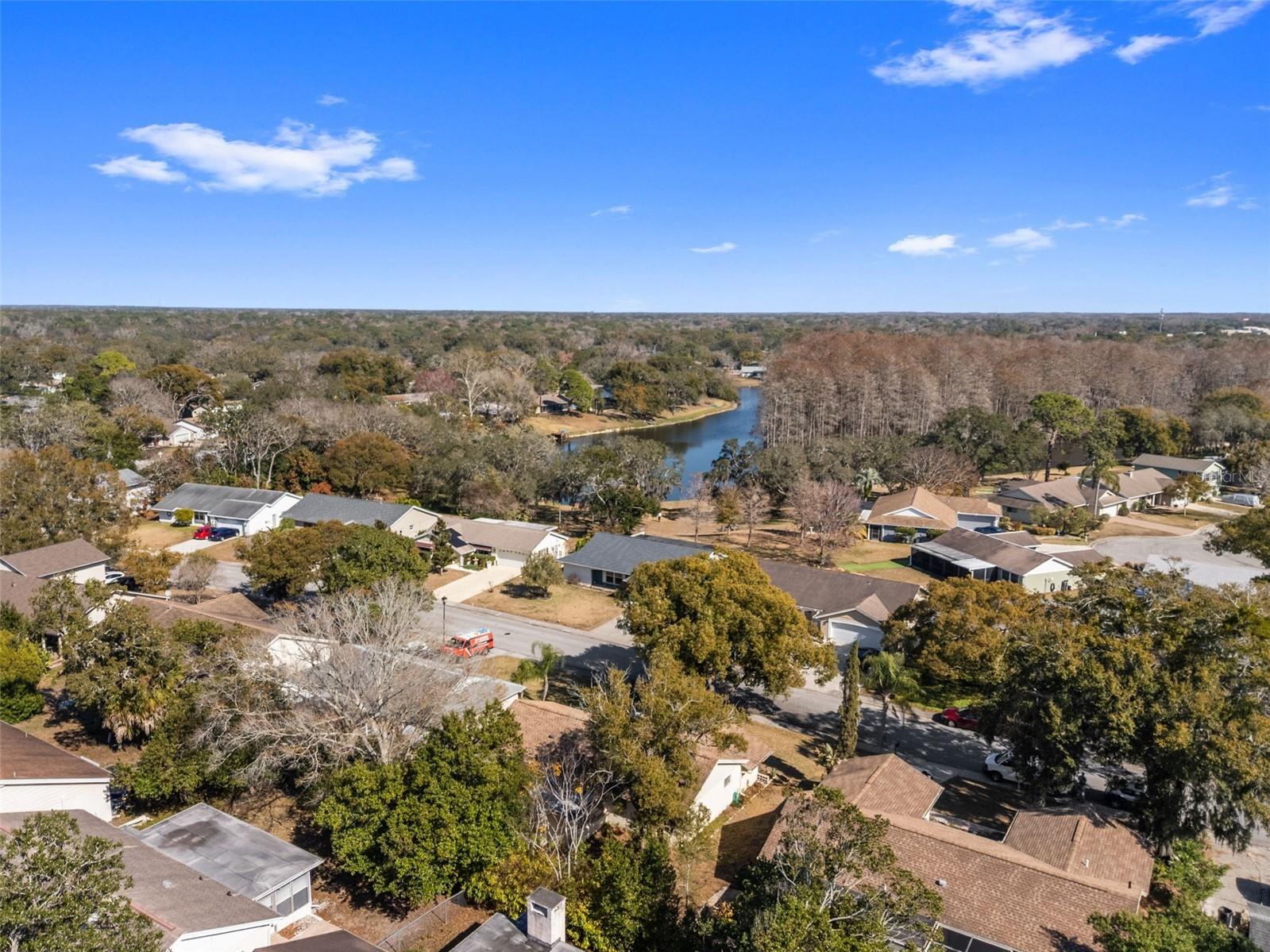 12501 Stagecoach Lane Hudson FL 34667 W7883064 image53