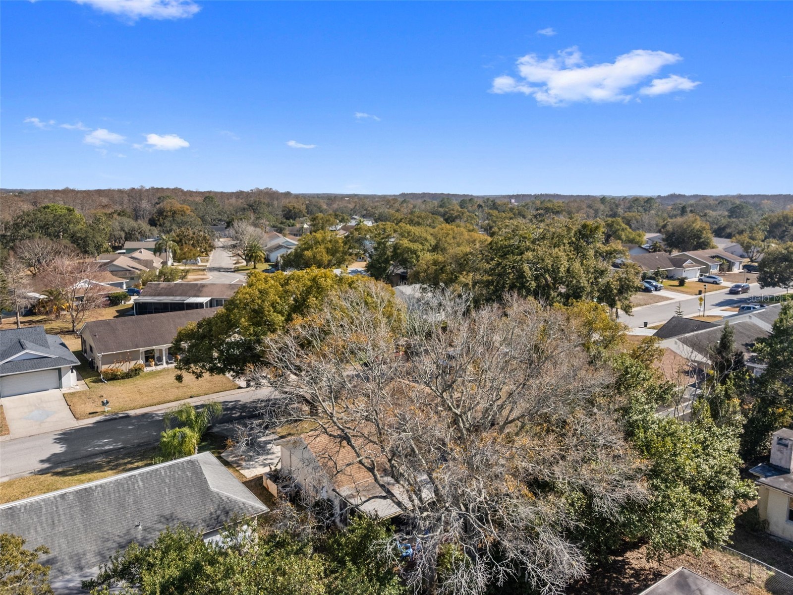 12501 Stagecoach Lane Hudson FL 34667 W7883064 image56