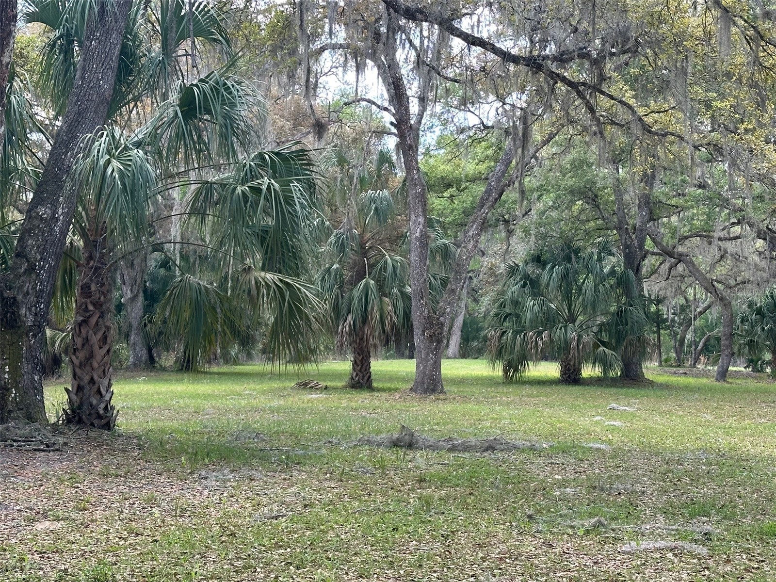 12501 SW Highway 200 Dunnellon FL 34432 OM721658 image11