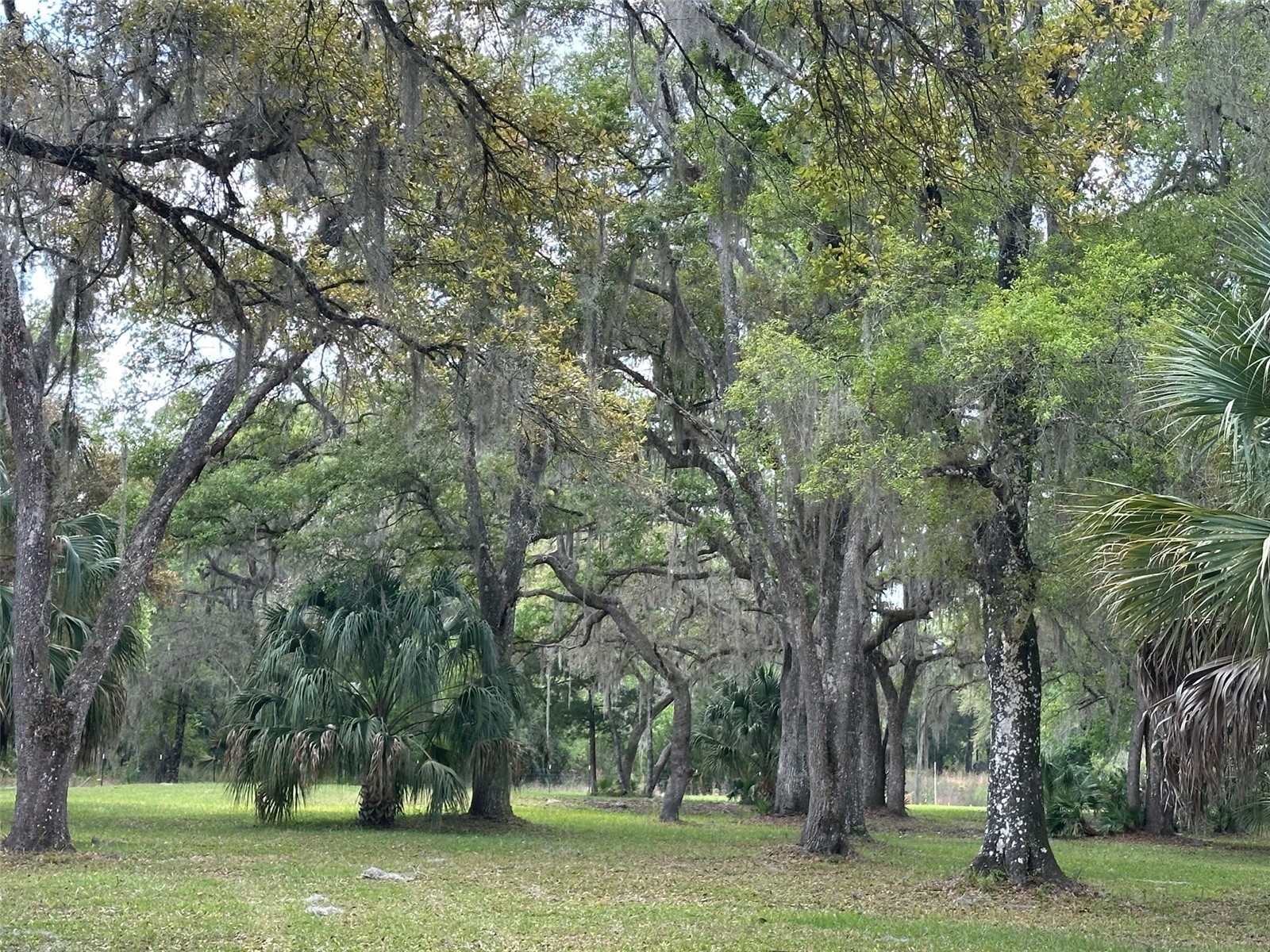12501 SW Highway 200 Dunnellon FL 34432 OM721658 image12