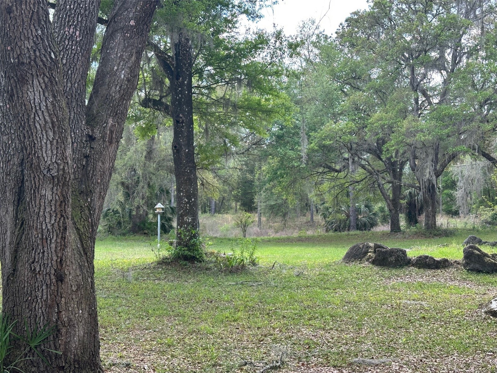 12501 SW Highway 200 Dunnellon FL 34432 OM721658 image13