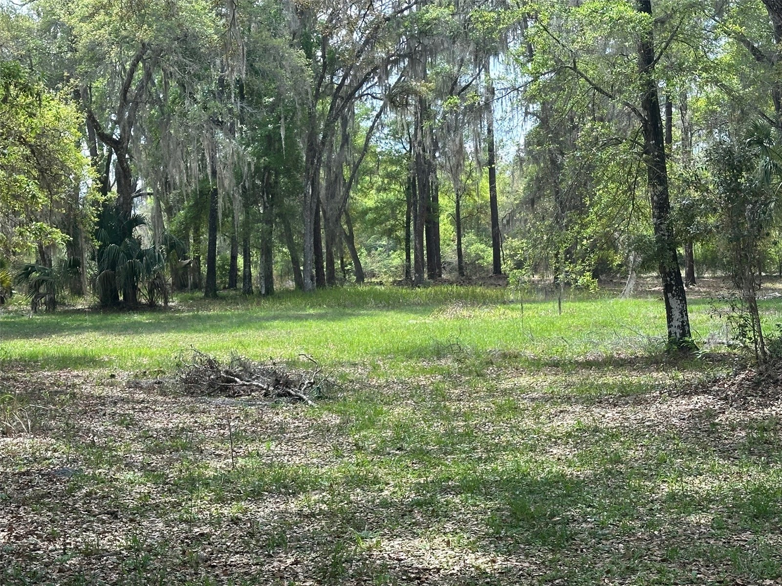 12501 SW Highway 200 Dunnellon FL 34432 OM721658 image16