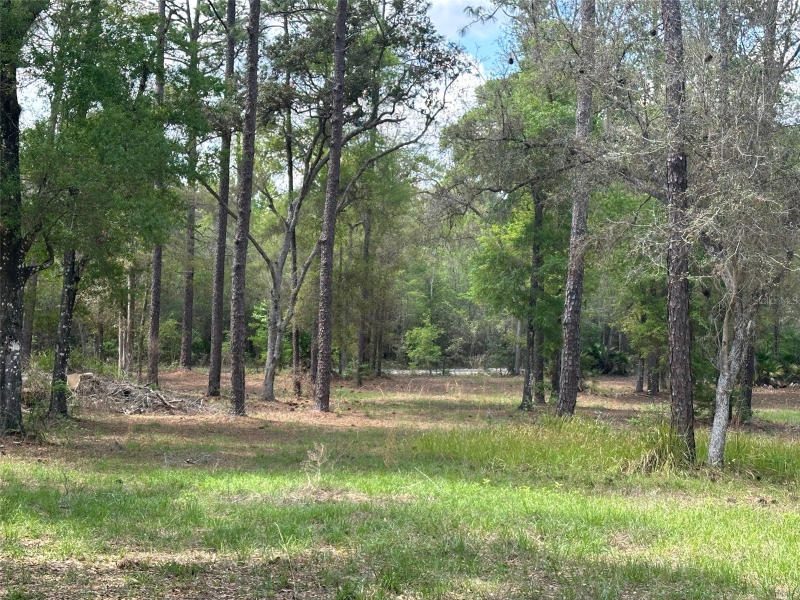 12501 SW Highway 200 Dunnellon FL 34432 OM721658 image17