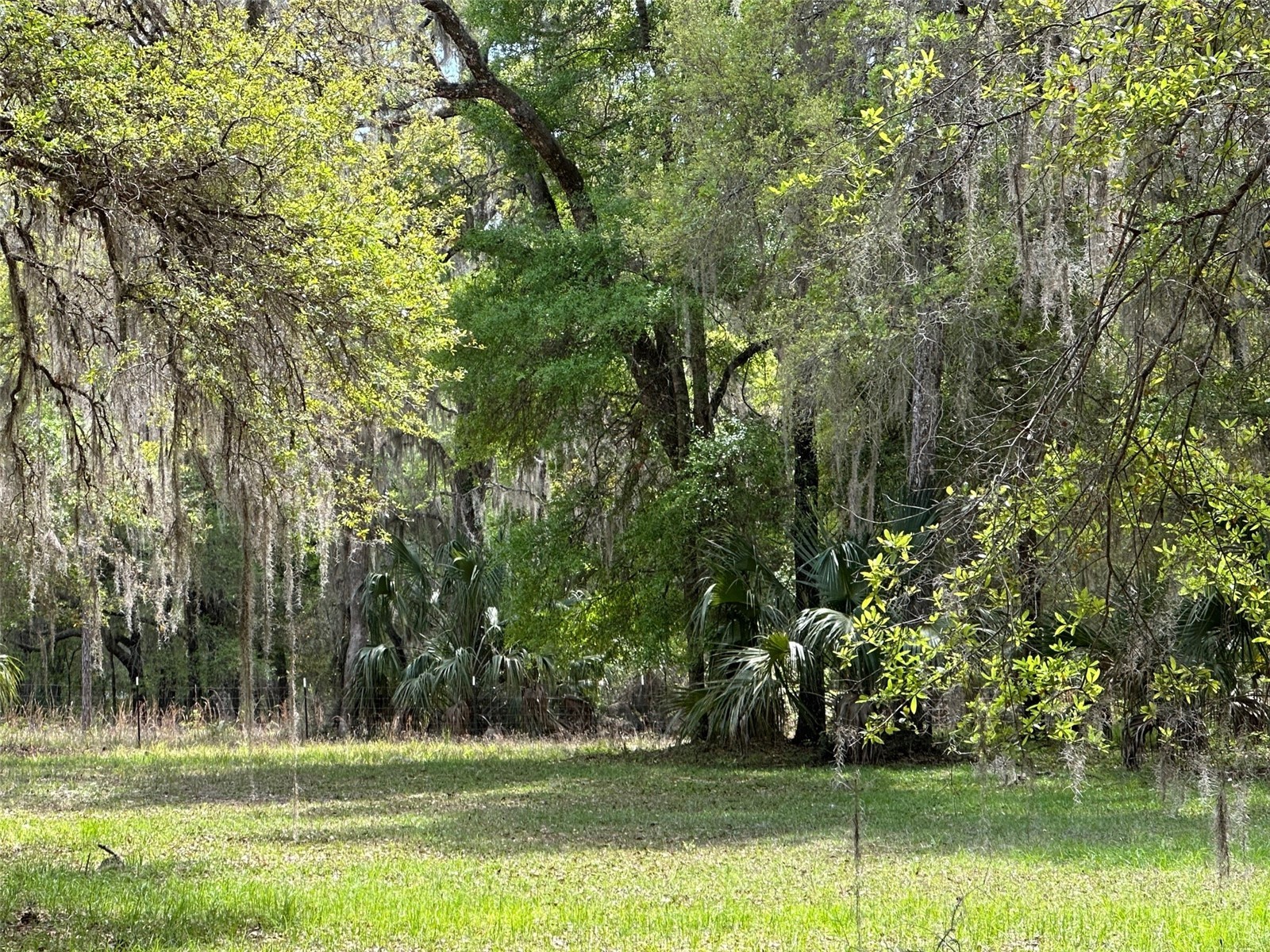 12501 SW Highway 200 Dunnellon FL 34432 OM721658 image18