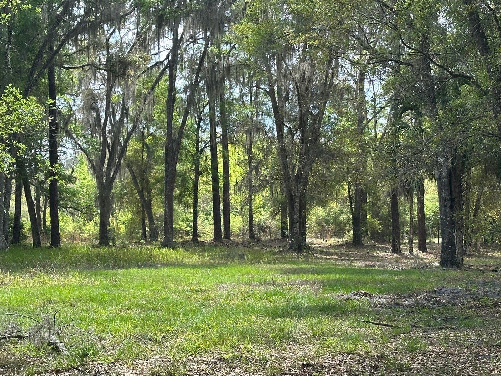 12501 SW Highway 200 Dunnellon FL 34432 OM721658 image19