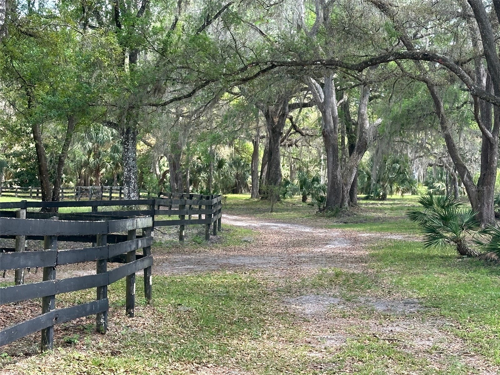 12501 SW Highway 200 Dunnellon FL 34432 OM721658 image24