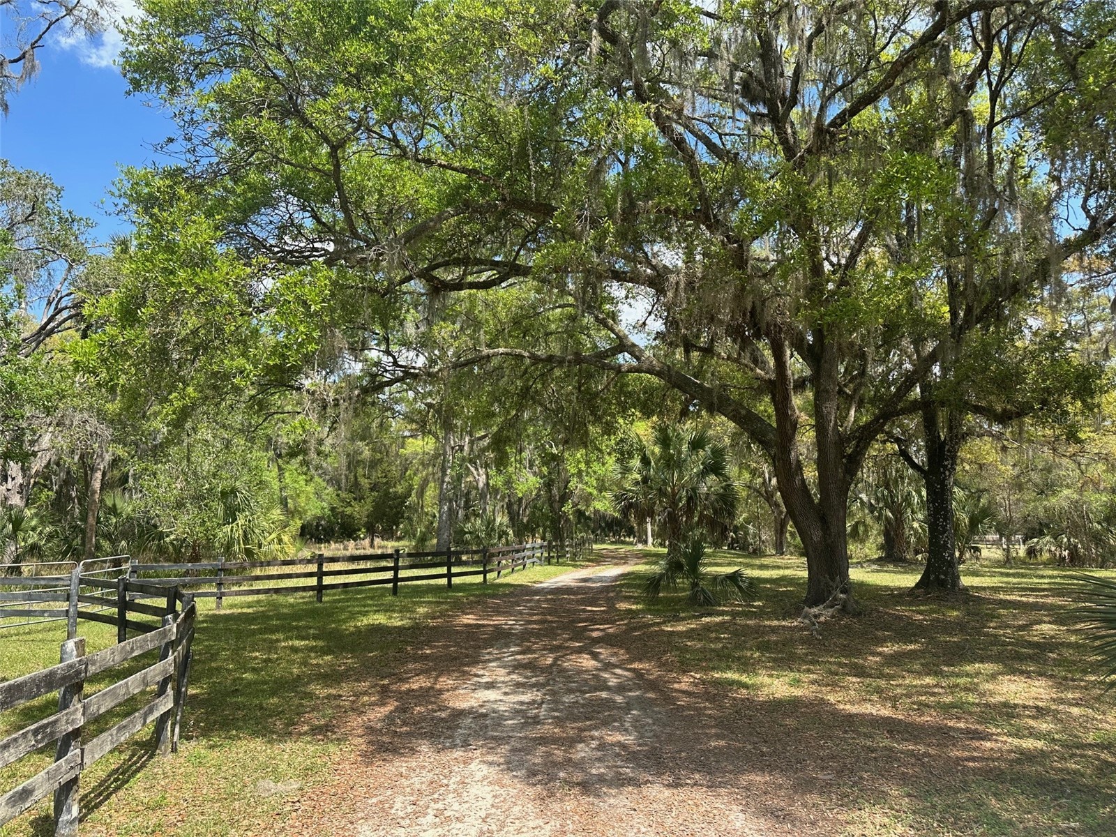 12501 SW Highway 200 Dunnellon FL 34432 OM721658 image25