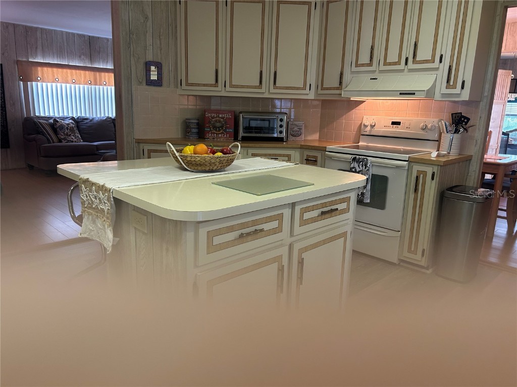 12501 Ulmerton Road #216 Largo FL 33774 TB8373074 image14