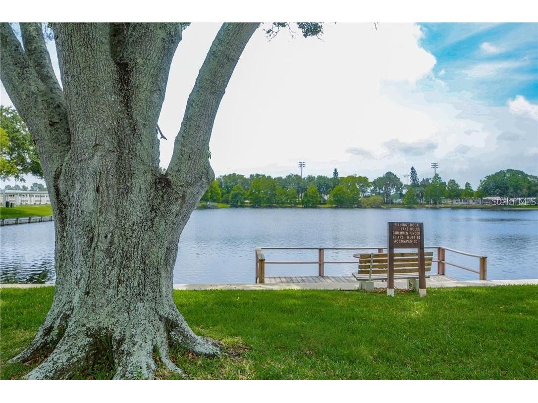 12501 Ulmerton Road #217 Largo FL 33774 TB8523364 image32