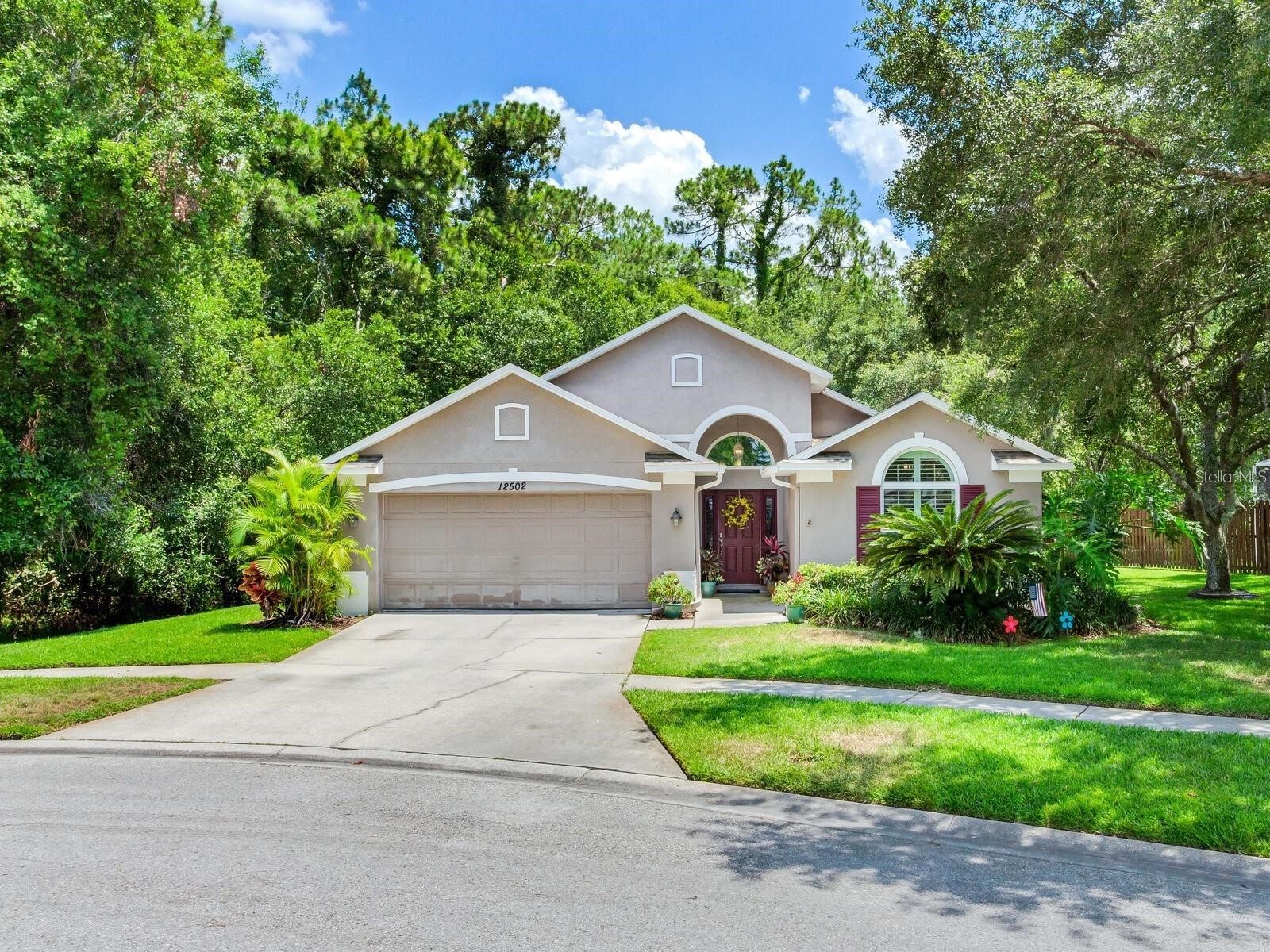 12502 Blazing Star Drive Tampa FL 33626 TB8514924 image1
