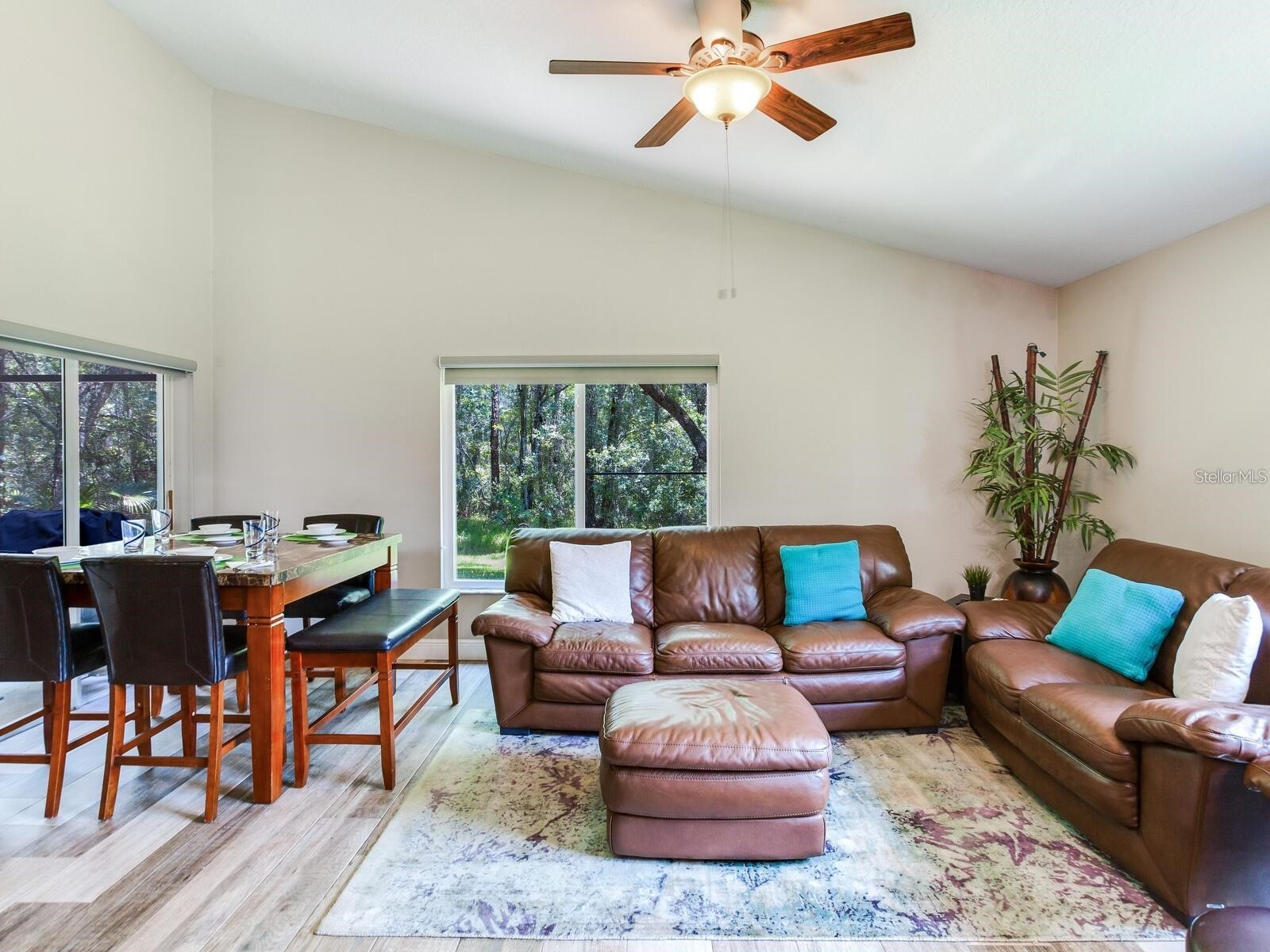 12502 Blazing Star Drive Tampa FL 33626 TB8514924 image10