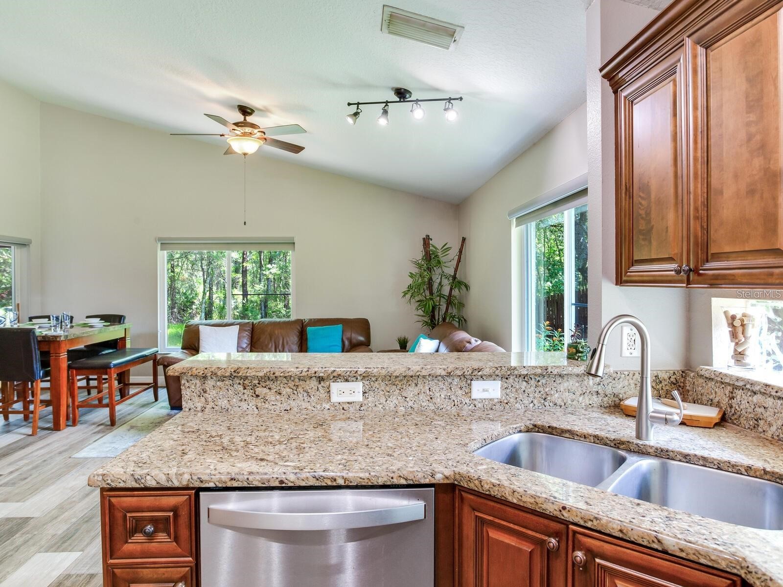 12502 Blazing Star Drive Tampa FL 33626 TB8514924 image13