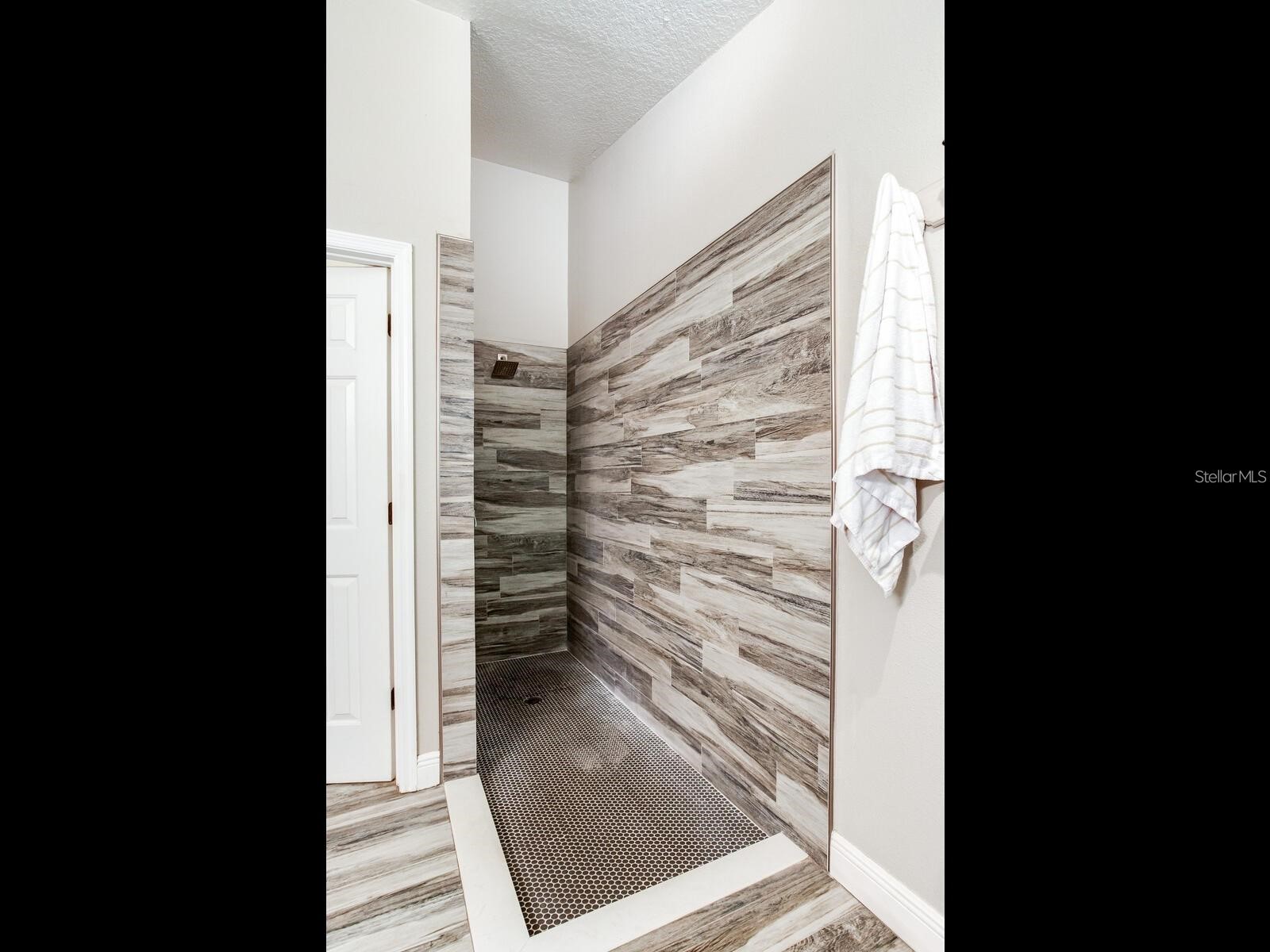 12502 Blazing Star Drive Tampa FL 33626 TB8514924 image18