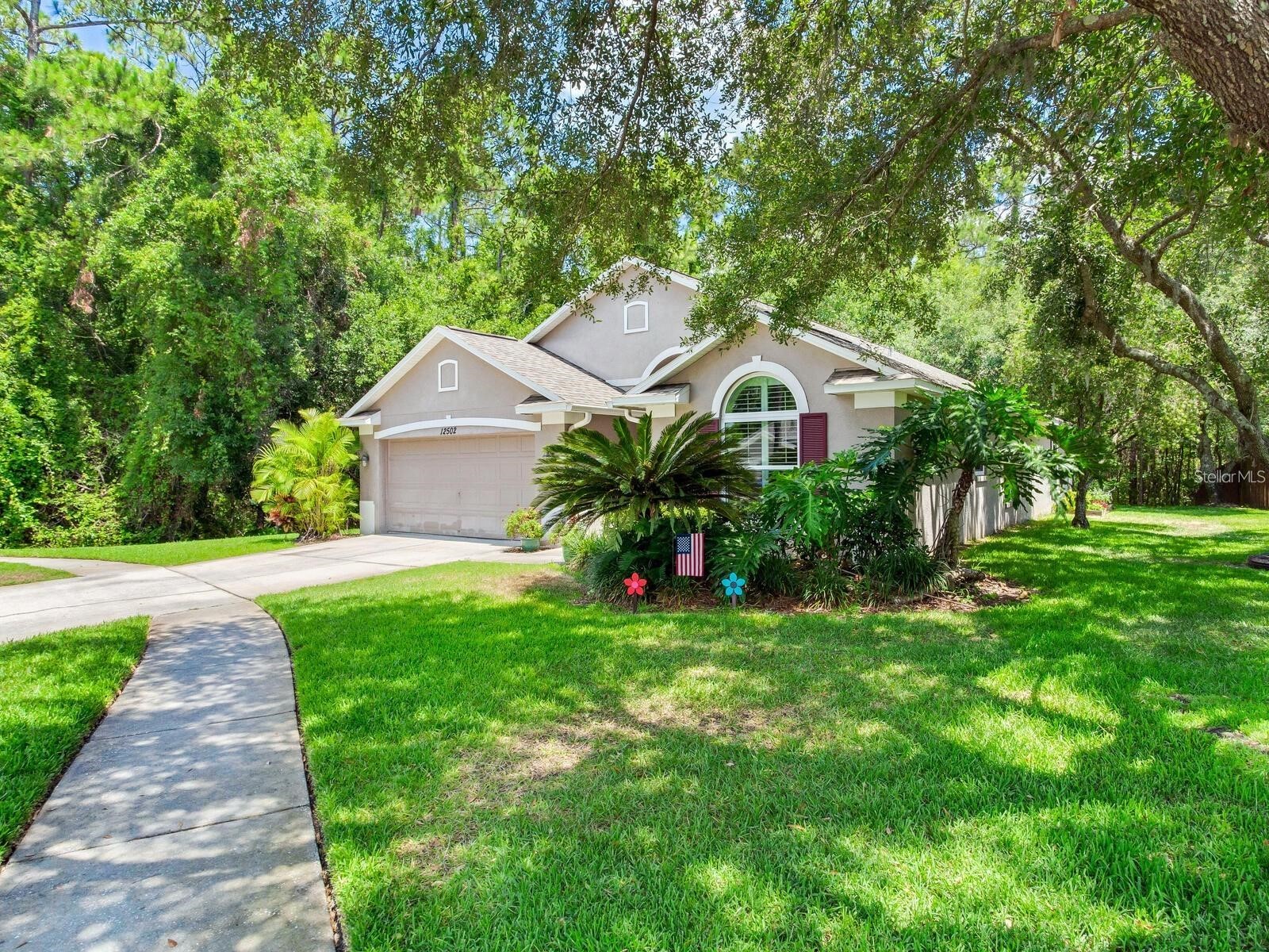 12502 Blazing Star Drive Tampa FL 33626 TB8514924 image2