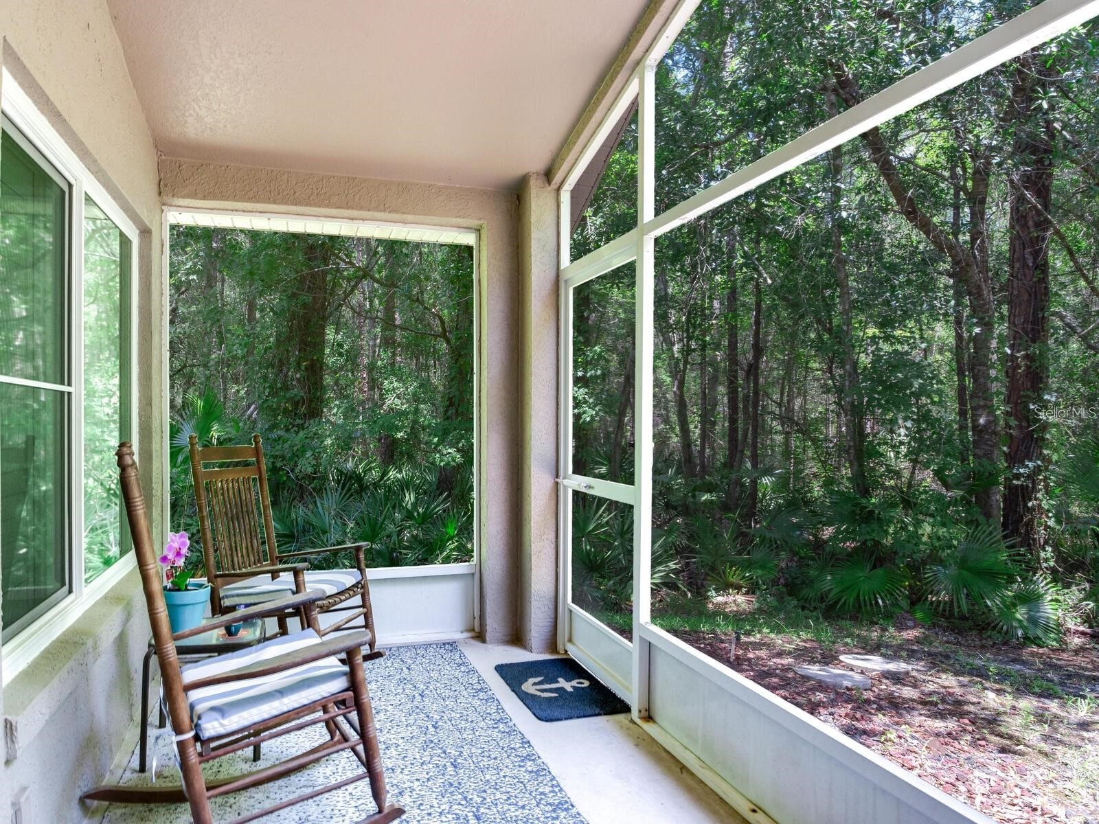 12502 Blazing Star Drive Tampa FL 33626 TB8514924 image25