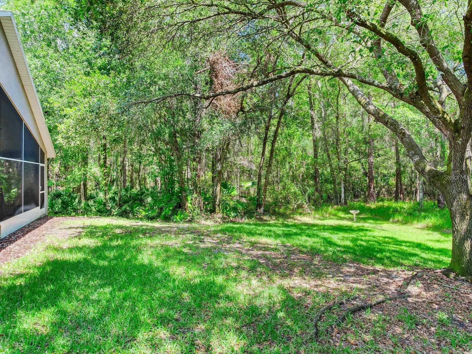 12502 Blazing Star Drive Tampa FL 33626 TB8514924 image27