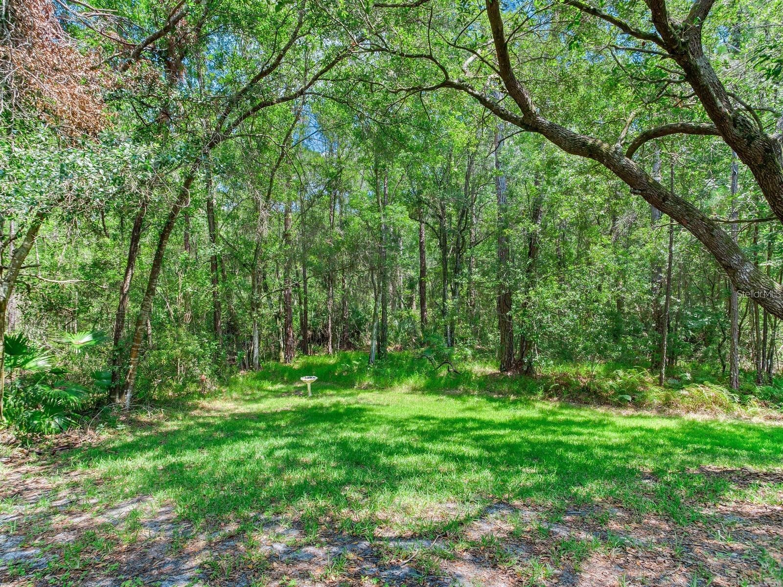 12502 Blazing Star Drive Tampa FL 33626 TB8514924 image28