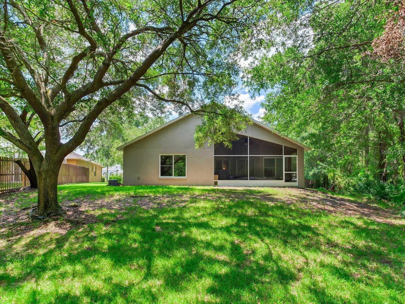 12502 Blazing Star Drive Tampa FL 33626 TB8514924 image29