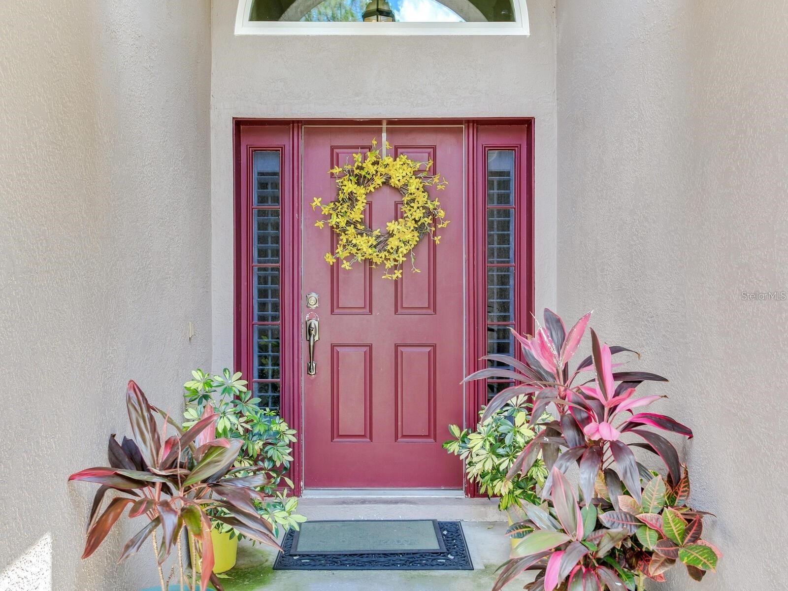 12502 Blazing Star Drive Tampa FL 33626 TB8514924 image3