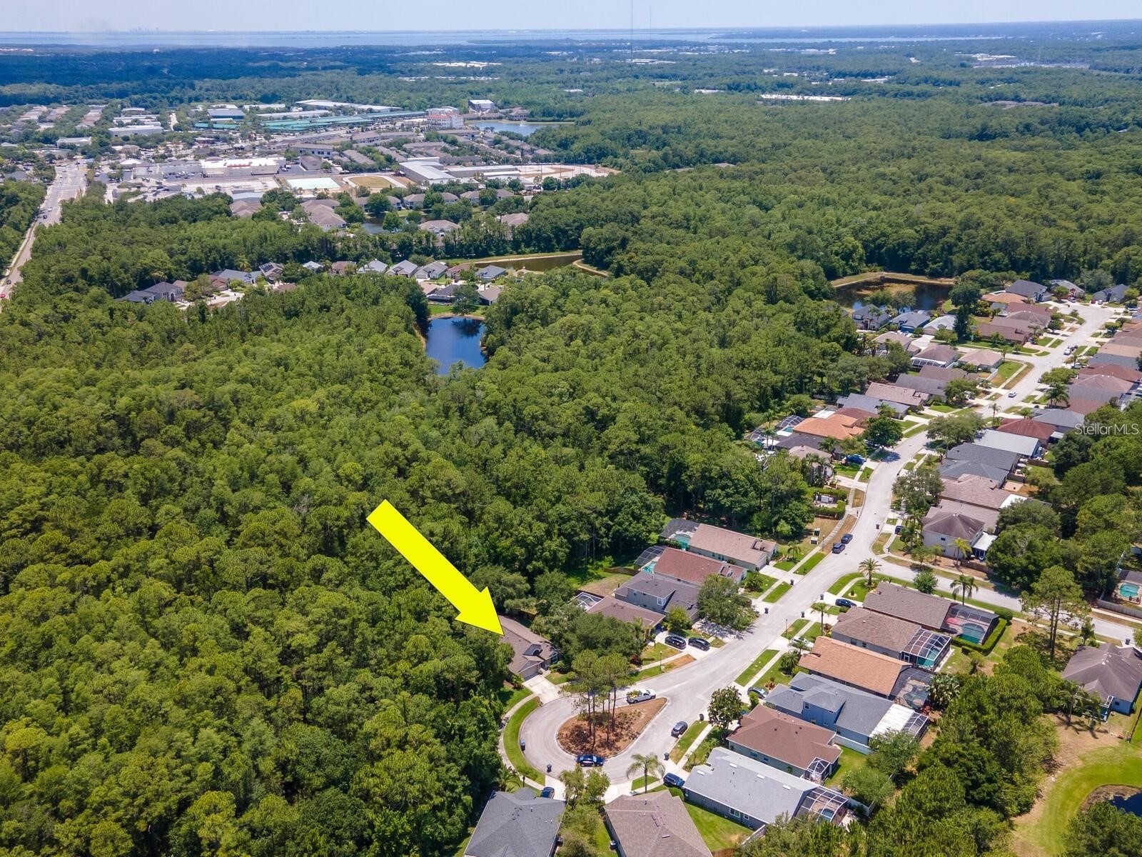 12502 Blazing Star Drive Tampa FL 33626 TB8514924 image33