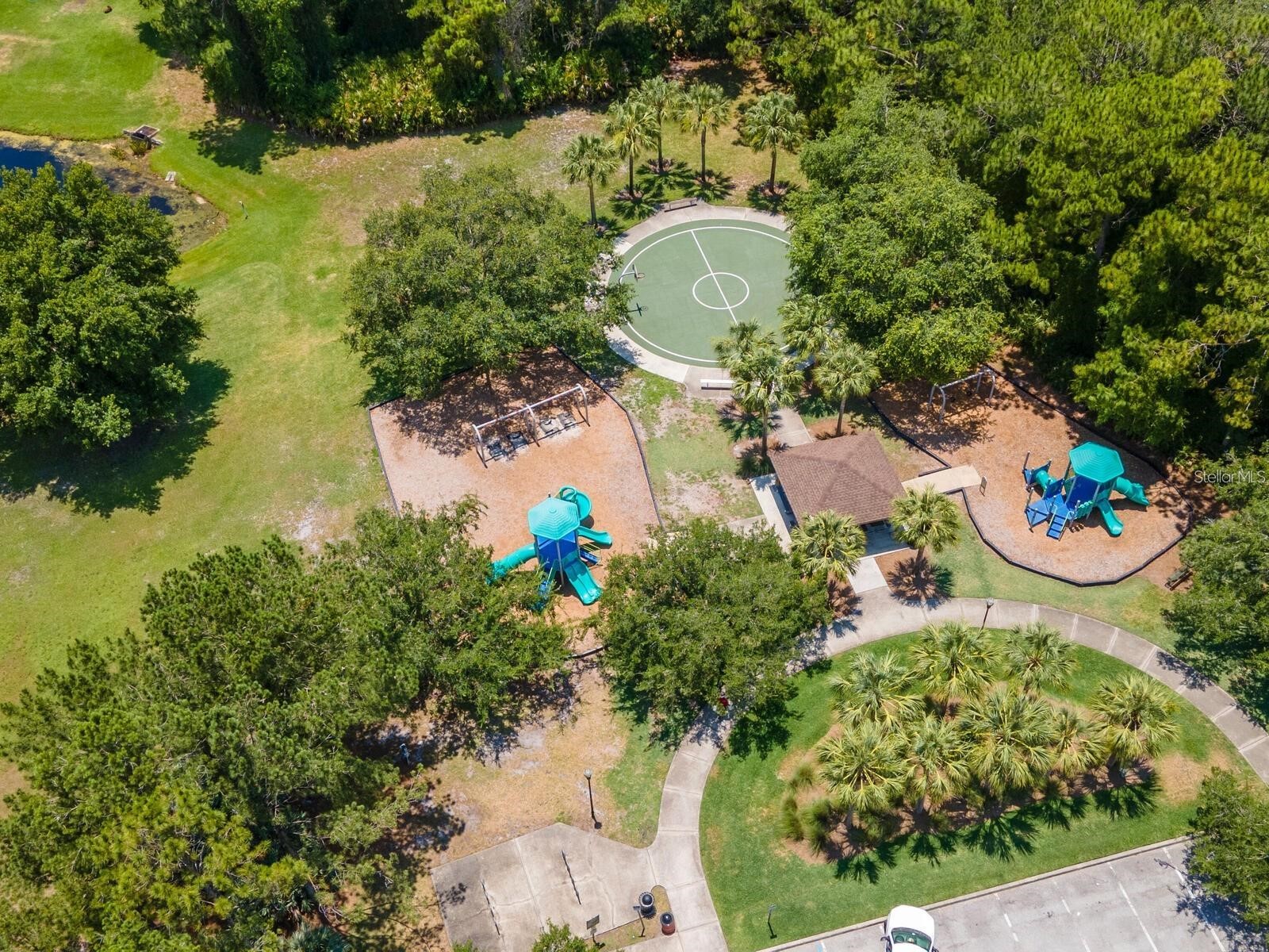 12502 Blazing Star Drive Tampa FL 33626 TB8514924 image34