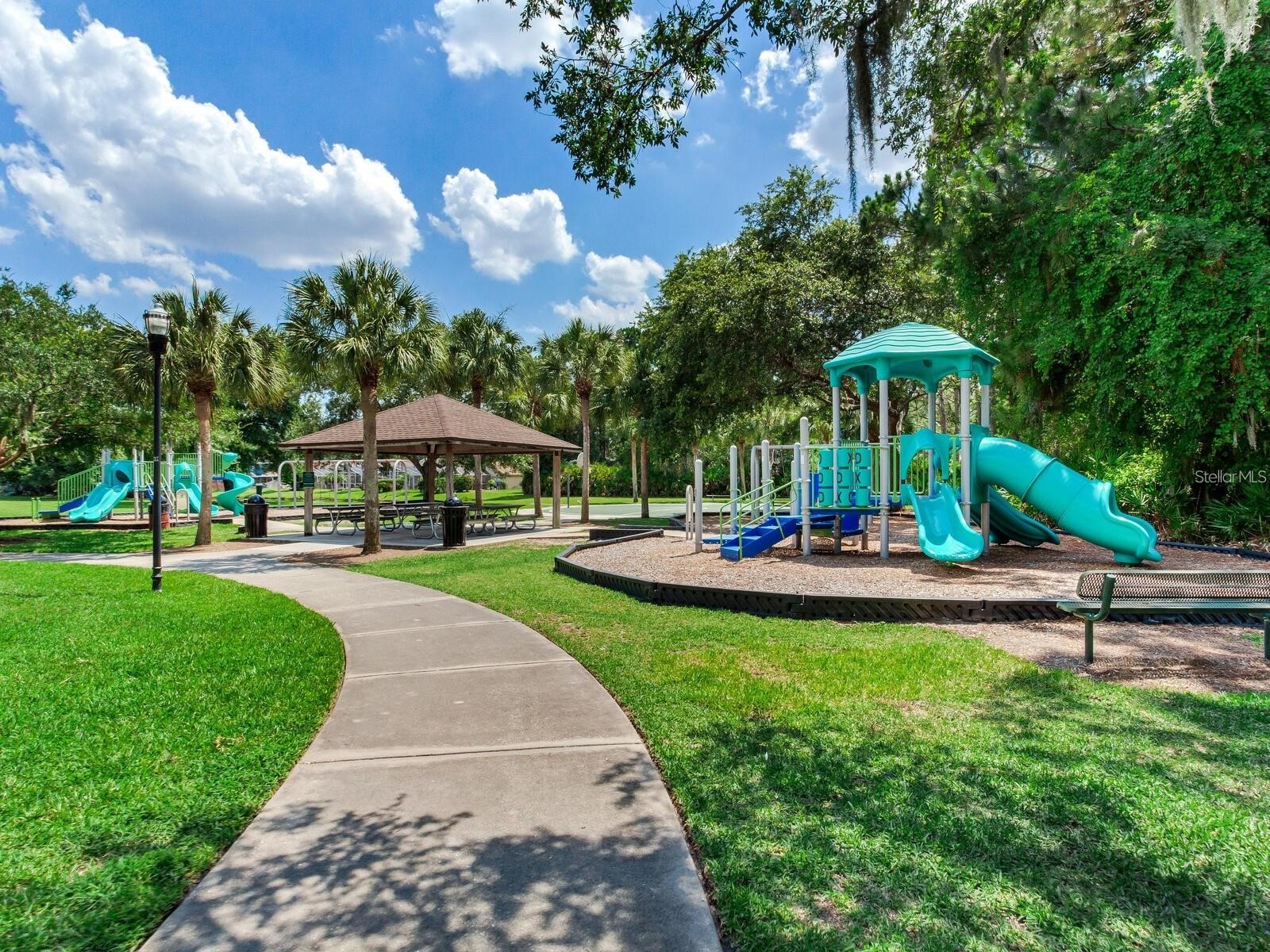 12502 Blazing Star Drive Tampa FL 33626 TB8514924 image35