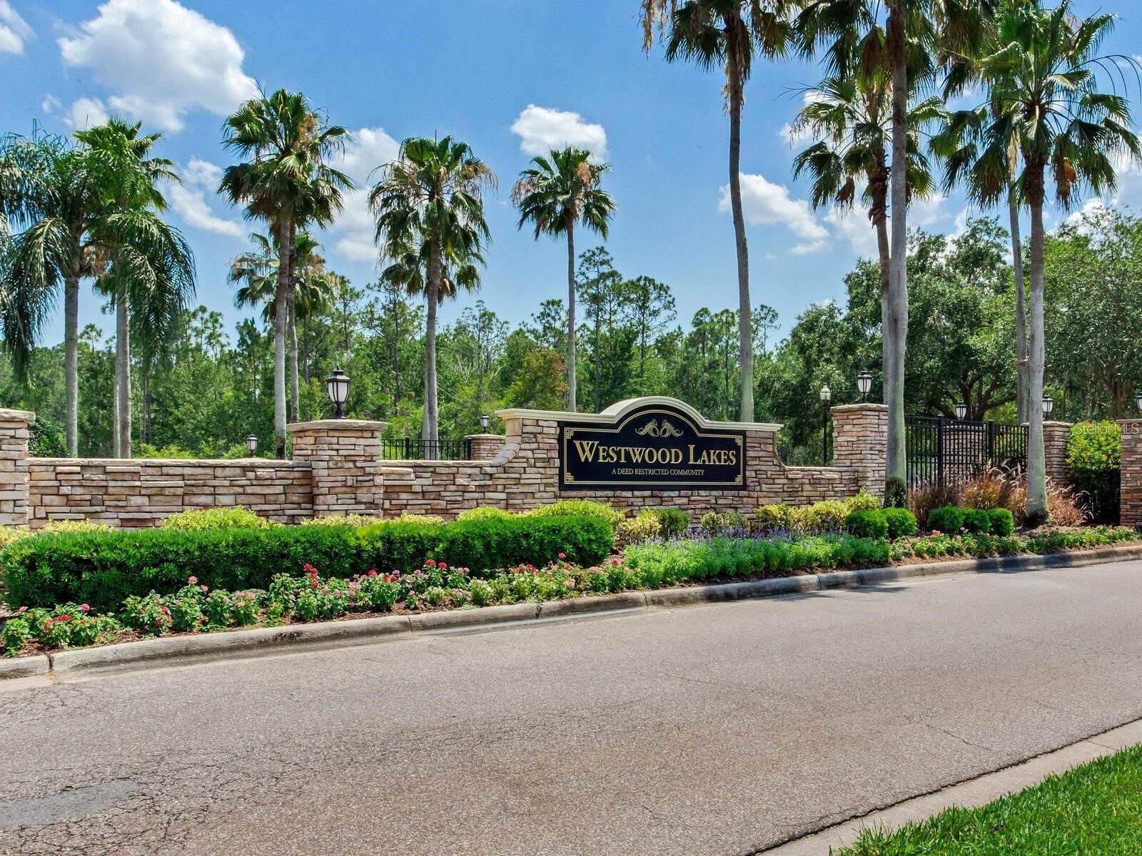 12502 Blazing Star Drive Tampa FL 33626 TB8514924 image36