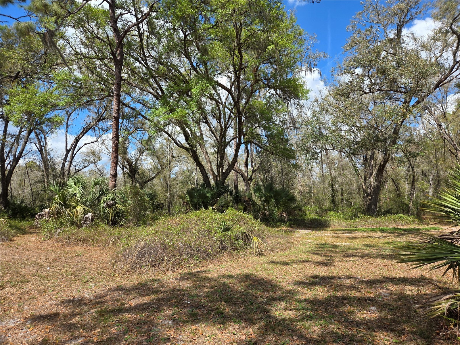 12503 Avery Road Thonotosassa FL 33592 TB8487144 image10
