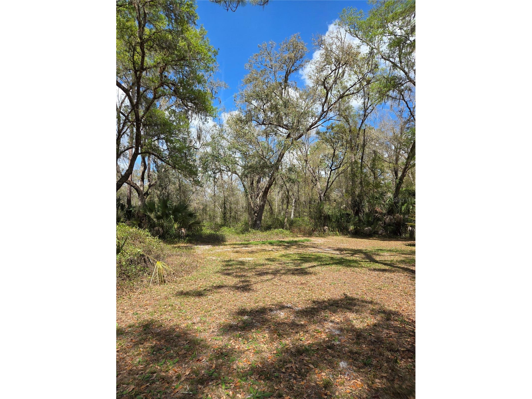 12503 Avery Road Thonotosassa FL 33592 TB8487144 image11
