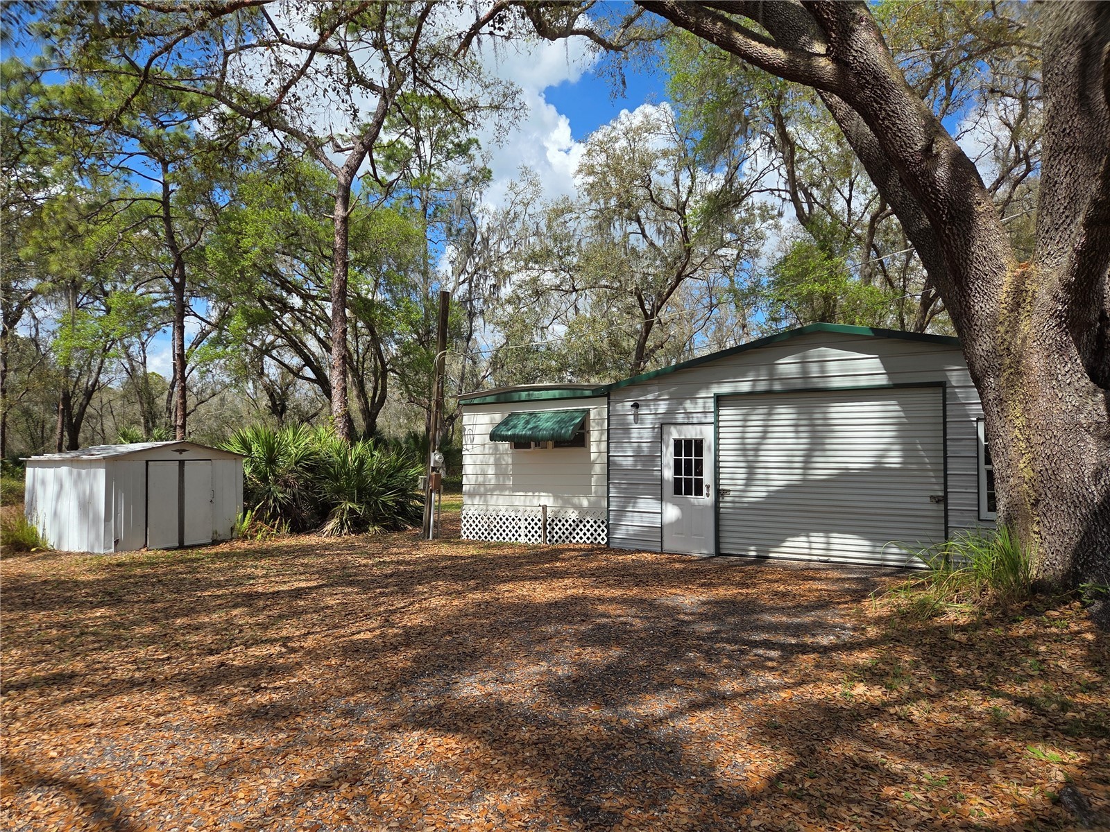 12503 Avery Road Thonotosassa FL 33592 TB8487144 image2