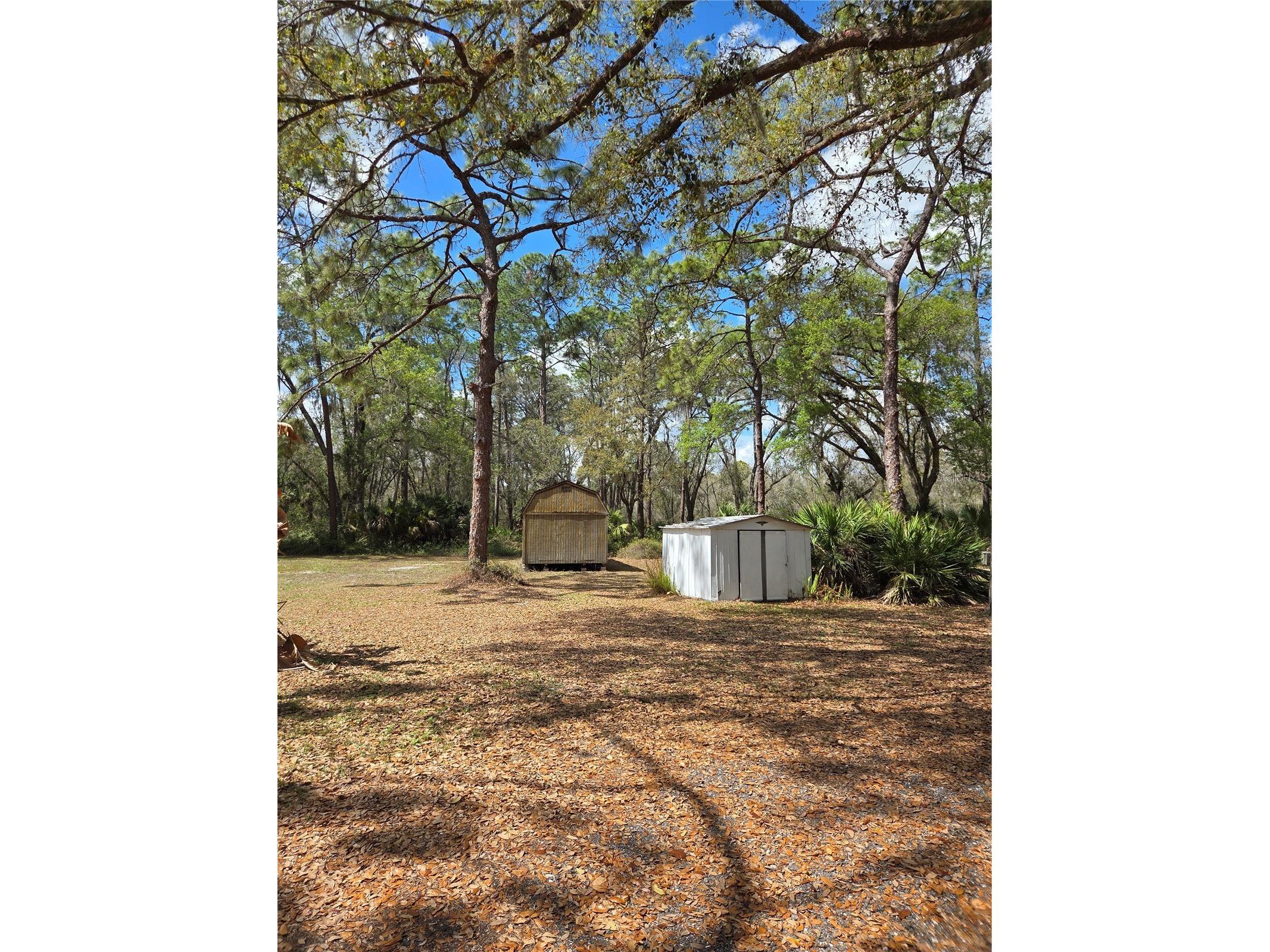 12503 Avery Road Thonotosassa FL 33592 TB8487144 image9