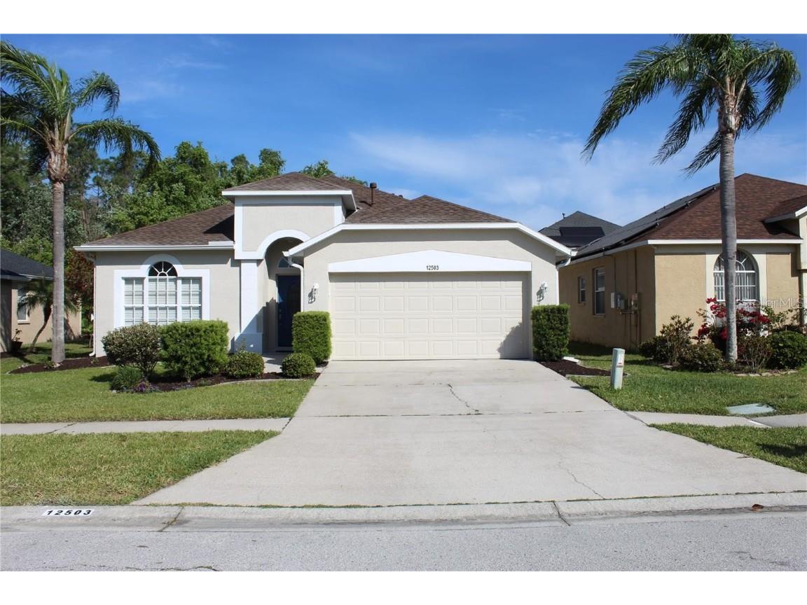 12503 Sparkleberry Road Tampa FL 33626 TB8448249 image1