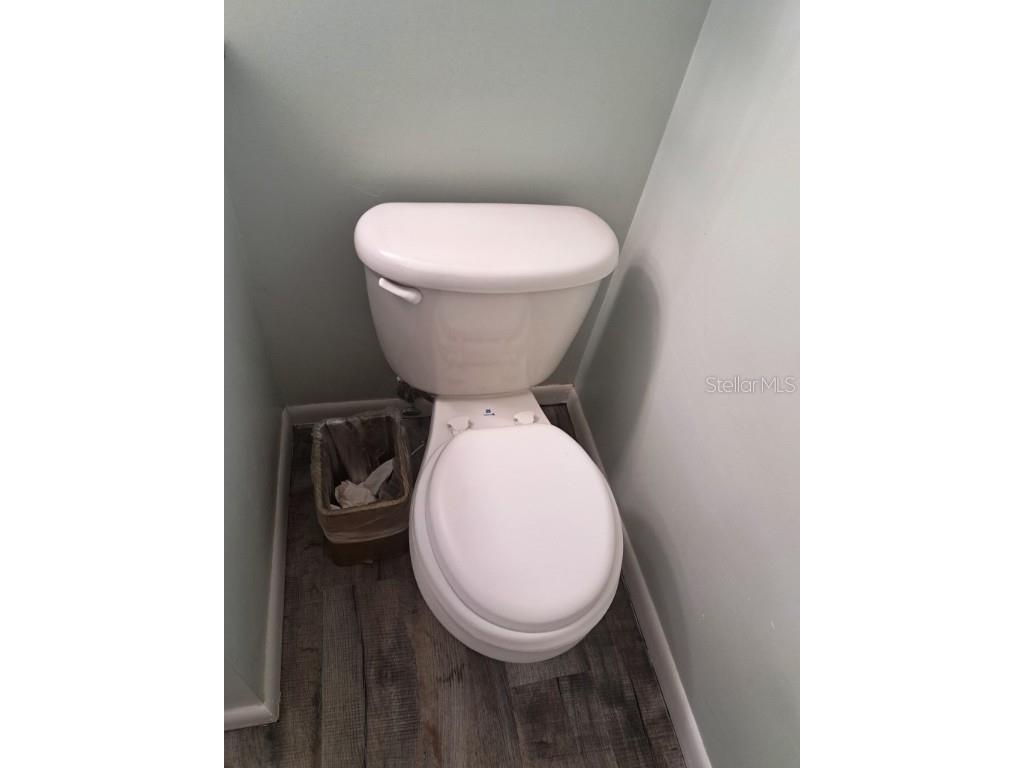 12504 Palmdale Court Tampa FL 33625 TB8441740 image11