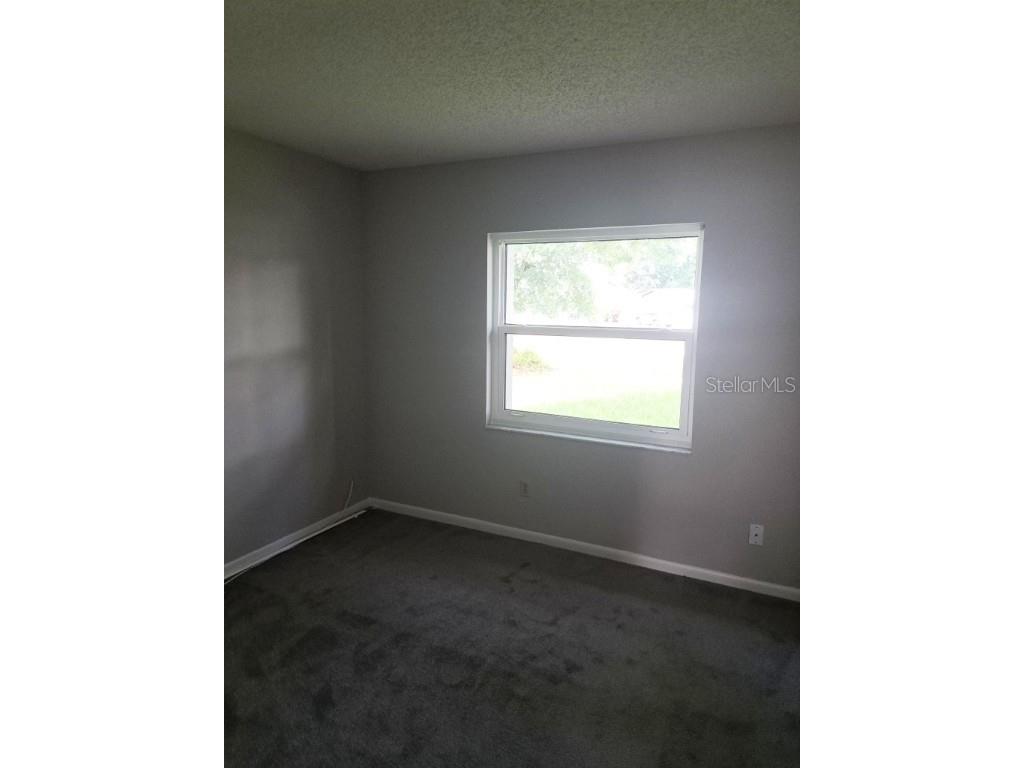 12504 Palmdale Court Tampa FL 33625 TB8441740 image16