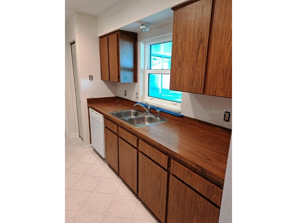 12504 Palmdale Court Tampa FL 33625 TB8441740 image5