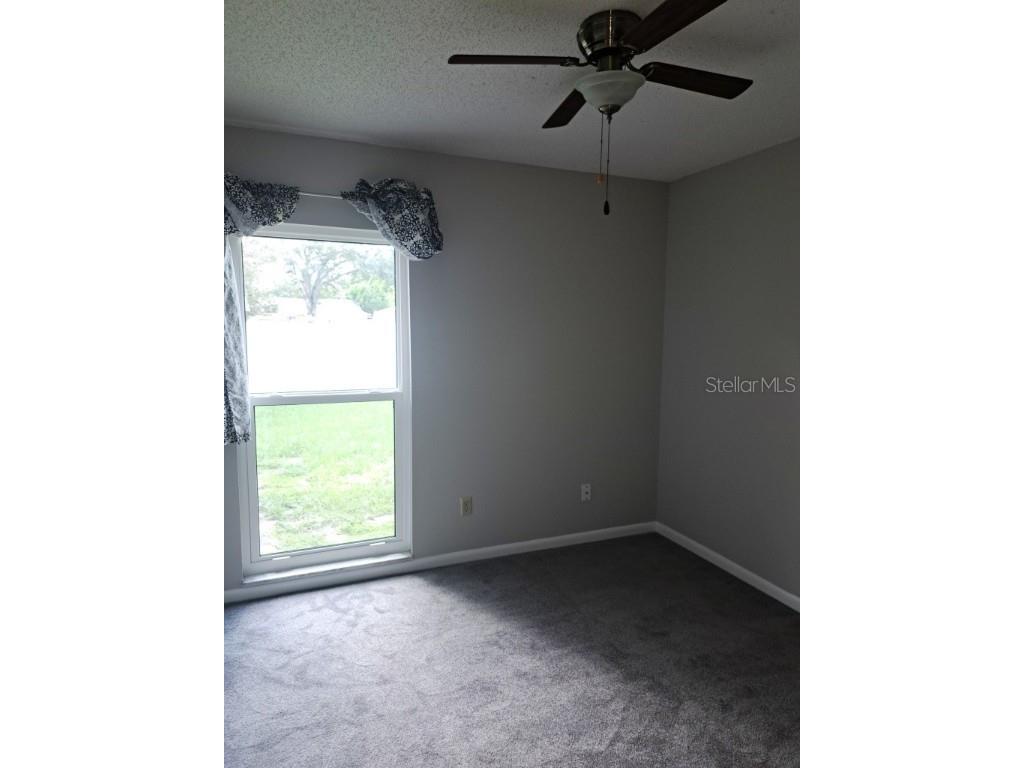 12504 Palmdale Court Tampa FL 33625 TB8441740 image9