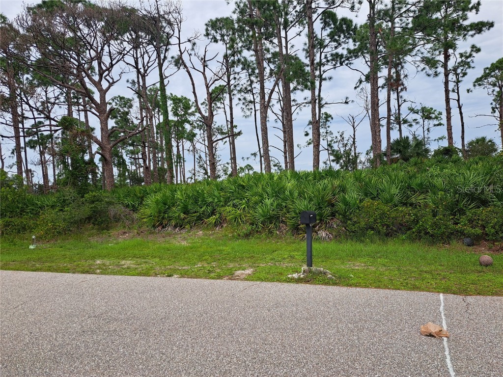 12504 Perrine Avenue Port Charlotte FL 33981 C7479970 image2