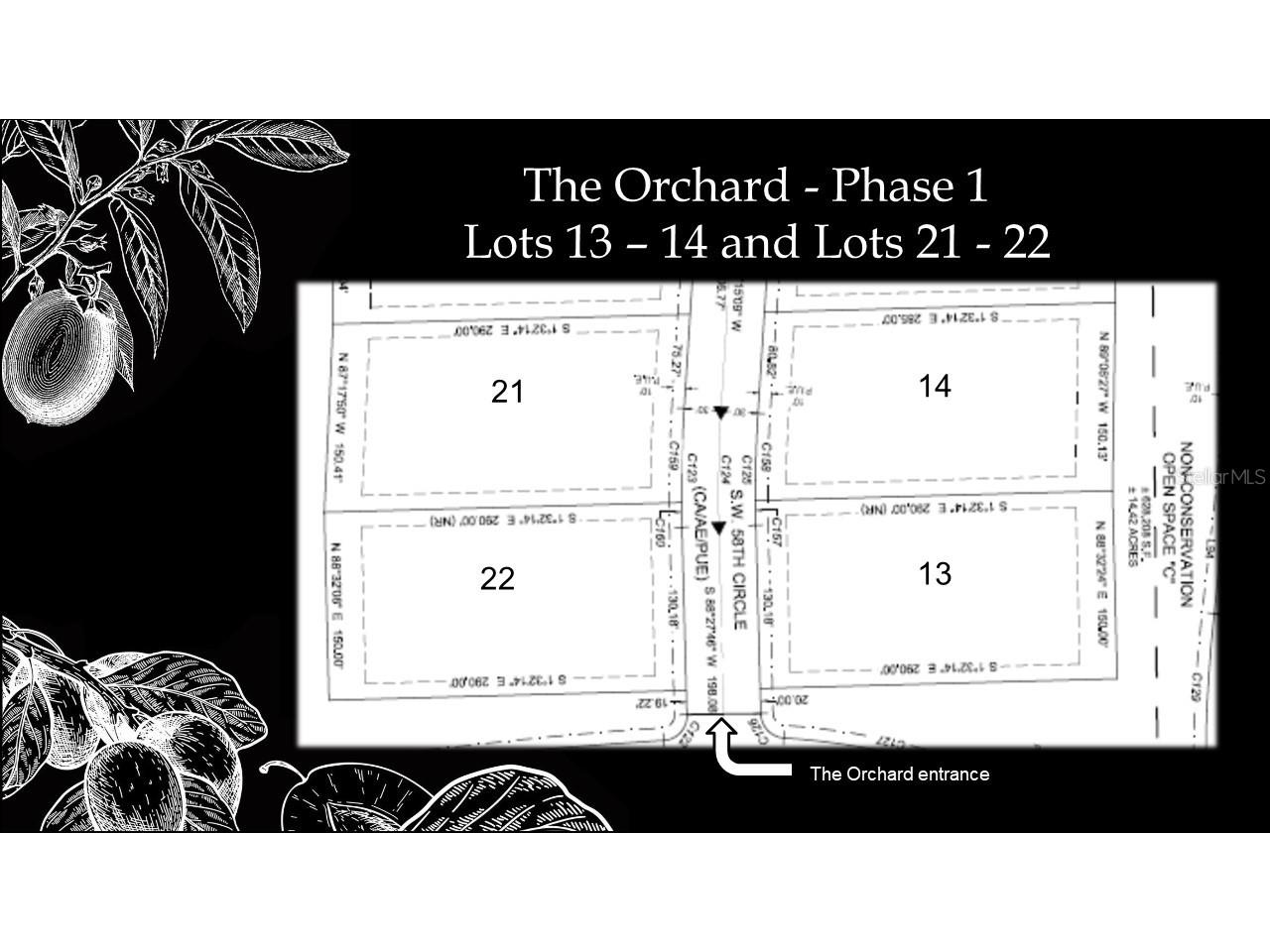 12504 SW 58th Circle Archer FL 32618 GC442448 image5