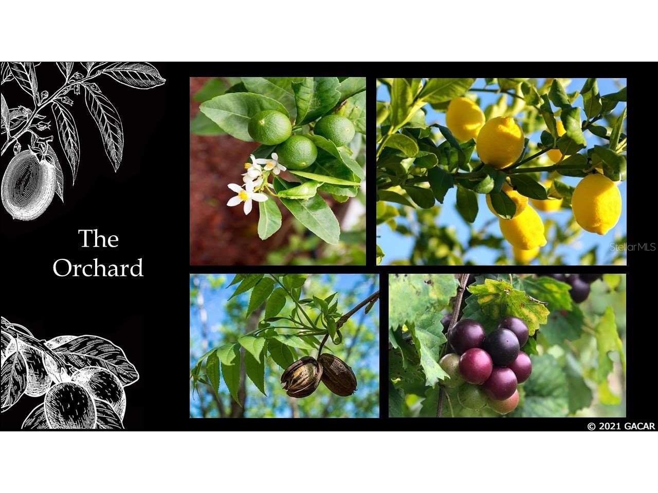 12504 SW 58th Circle Archer FL 32618 GC442448 image6