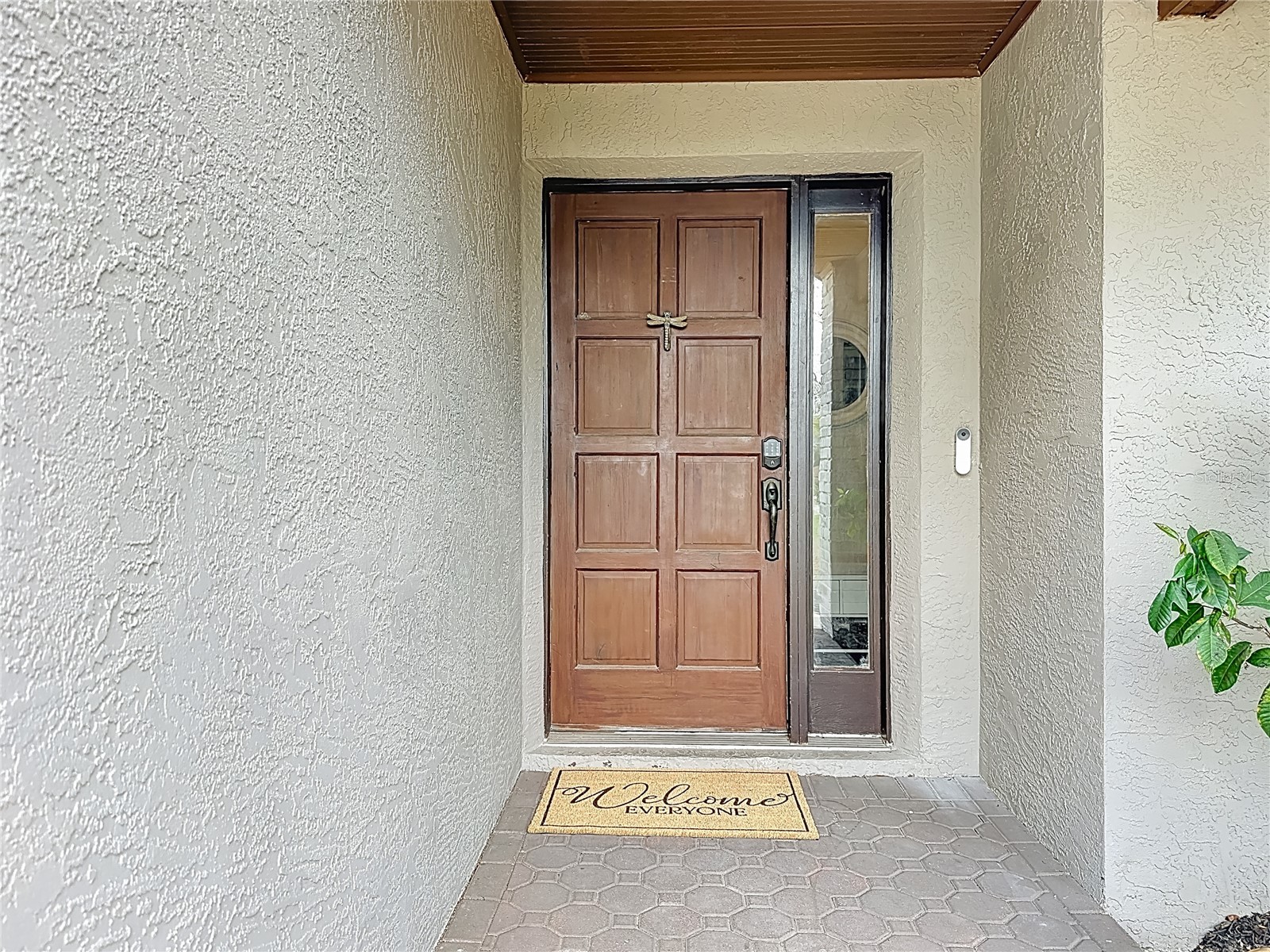 12504 Twin Branch Acres Road Tampa FL 33626 TB8483420 image7
