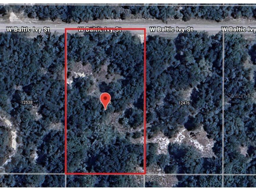 12504 W Baltic Ivy Street Crystal River FL 34428 OM714284 image1