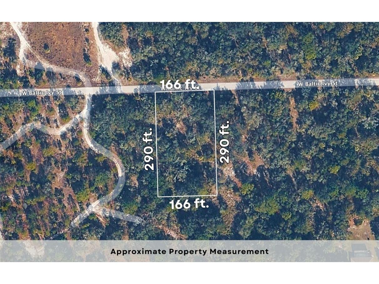 12504 W Baltic Ivy Street Crystal River FL 34428 OM714284 image10