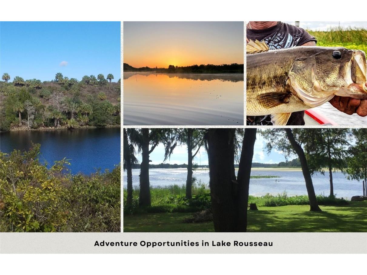 12504 W Baltic Ivy Street Crystal River FL 34428 OM714284 image11