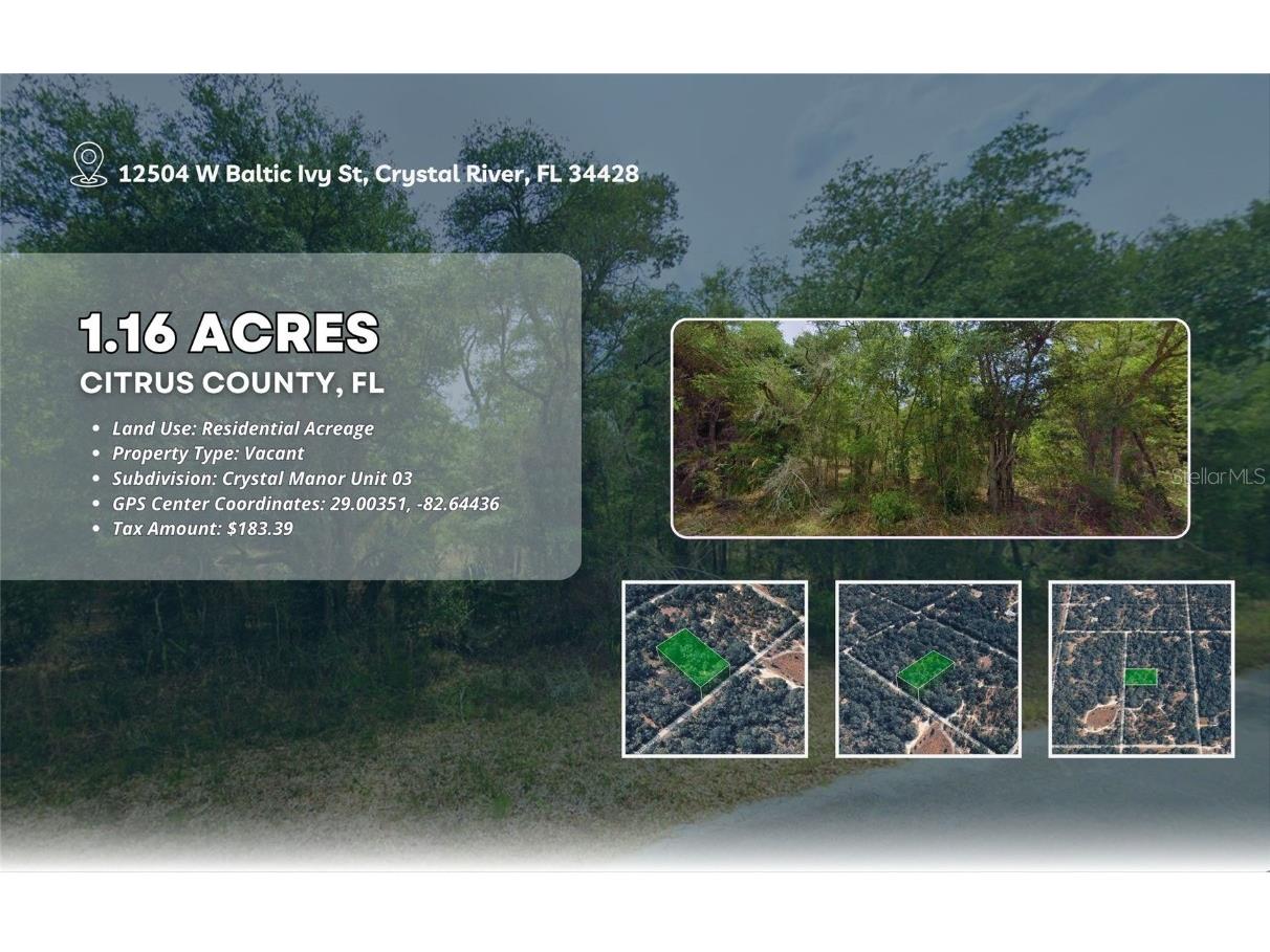 12504 W Baltic Ivy Street Crystal River FL 34428 OM714284 image2