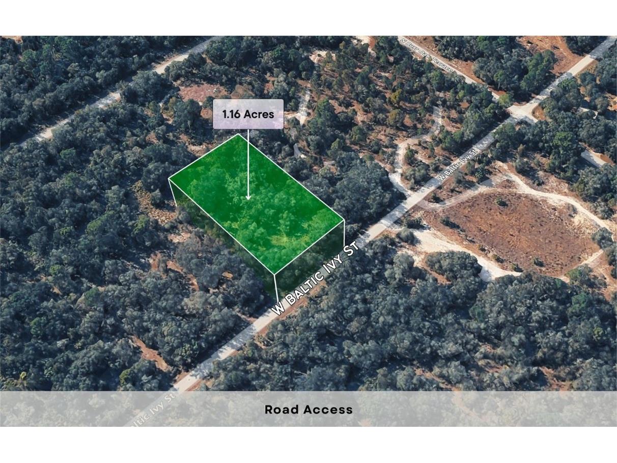 12504 W Baltic Ivy Street Crystal River FL 34428 OM714284 image3