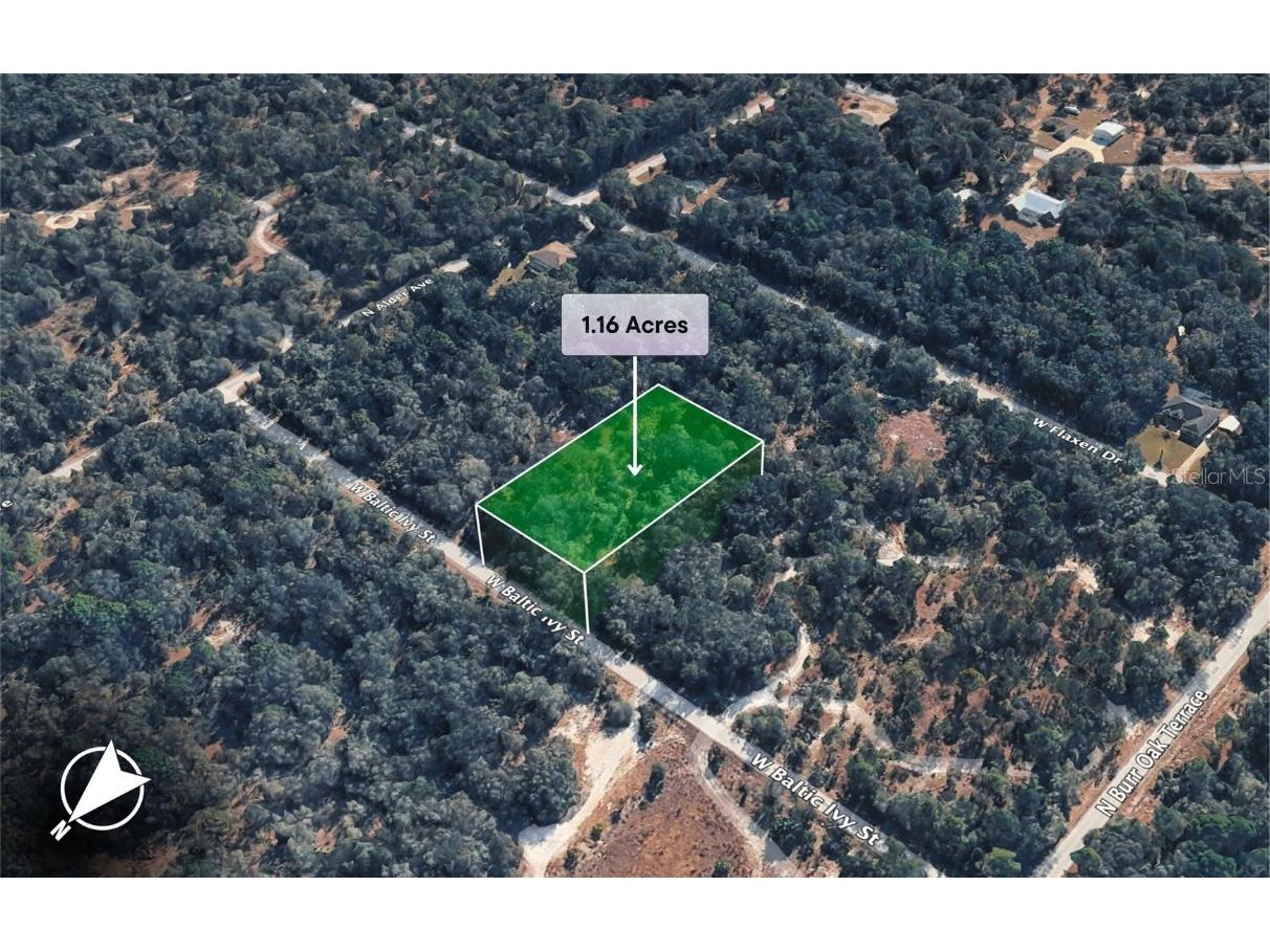 12504 W Baltic Ivy Street Crystal River FL 34428 OM714284 image4