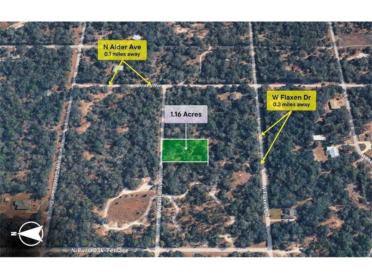 12504 W Baltic Ivy Street Crystal River FL 34428 OM714284 image5