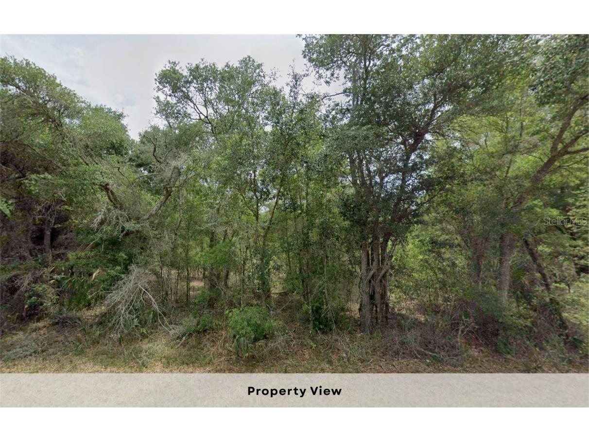 12504 W Baltic Ivy Street Crystal River FL 34428 OM714284 image7